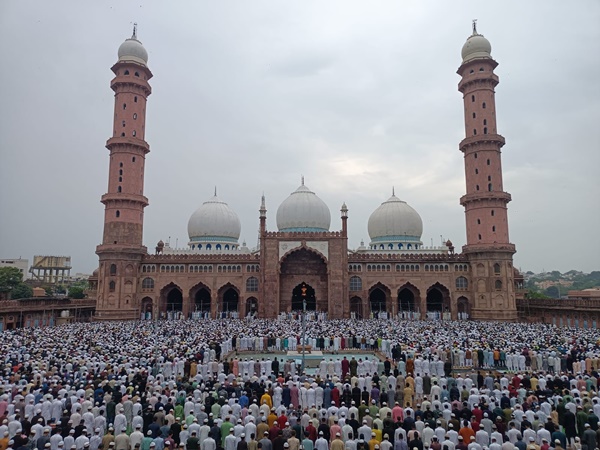 naidunia_image